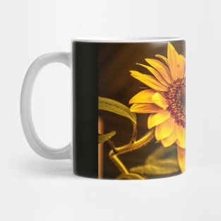 Sunflowers in bloom -Sleepy Bee Mug